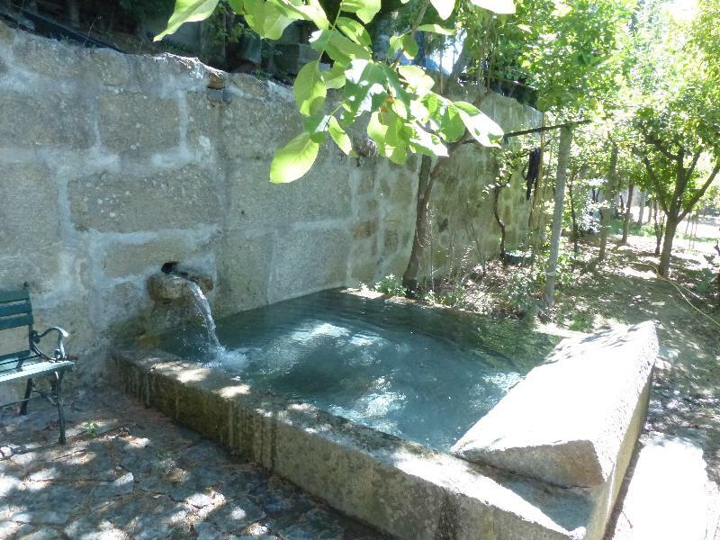 Вілла Quinta Da Cartida Santa Marinha do Zezere Екстер'єр фото